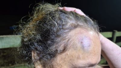 Homem é preso por agredir mulher e enteada na zona rural de São Carlos