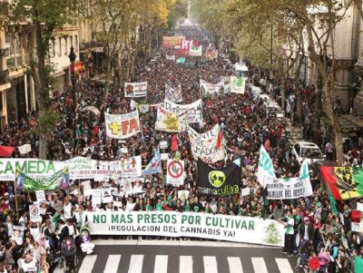 O Governo da Argentina lança a Agência Nacional do Cannabis