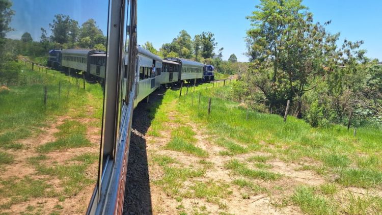 O Trem da República: O Passeio que Transformou História em Atração Turística