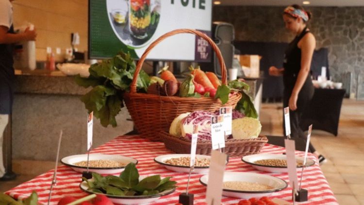 São Carlos recebe o “Experimenta! Comida, Saúde e Cultura”, evento do Sesc que celebra o Dia Mundial da Alimentação