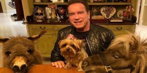 Arnold Schwarzenegger admite ter sido um assediador